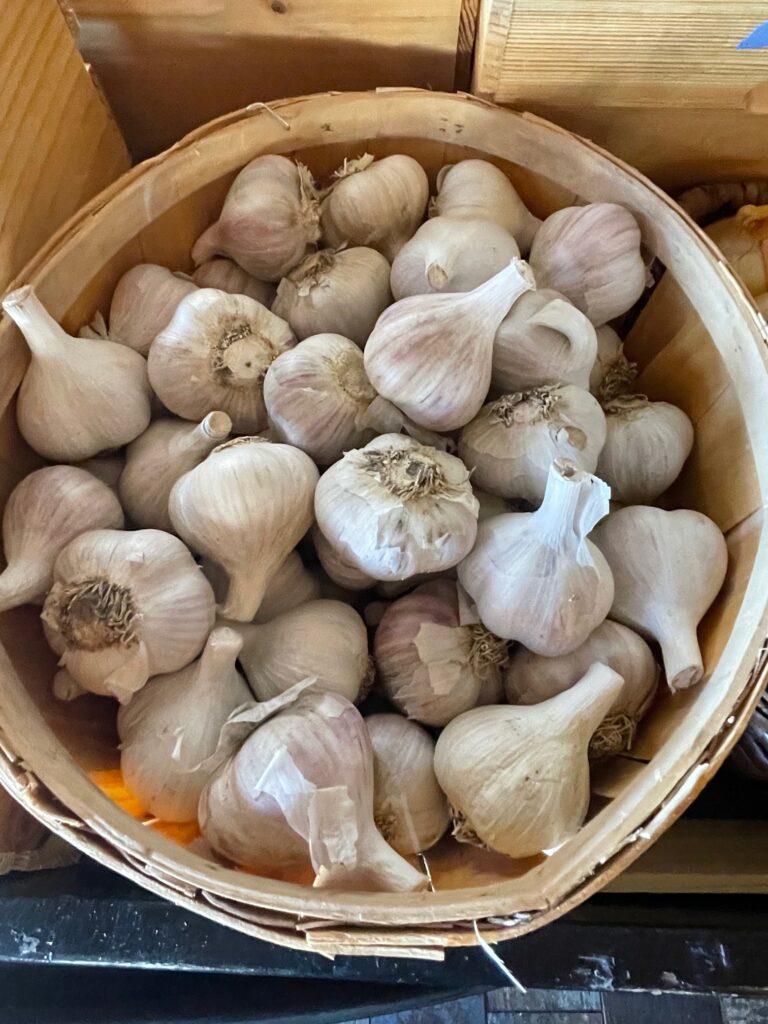 Italian Music Table Garlic  1 LB PREORDER