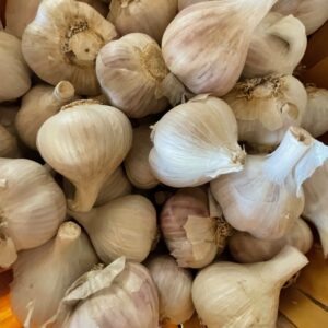 German Extra Hardy 1 LB