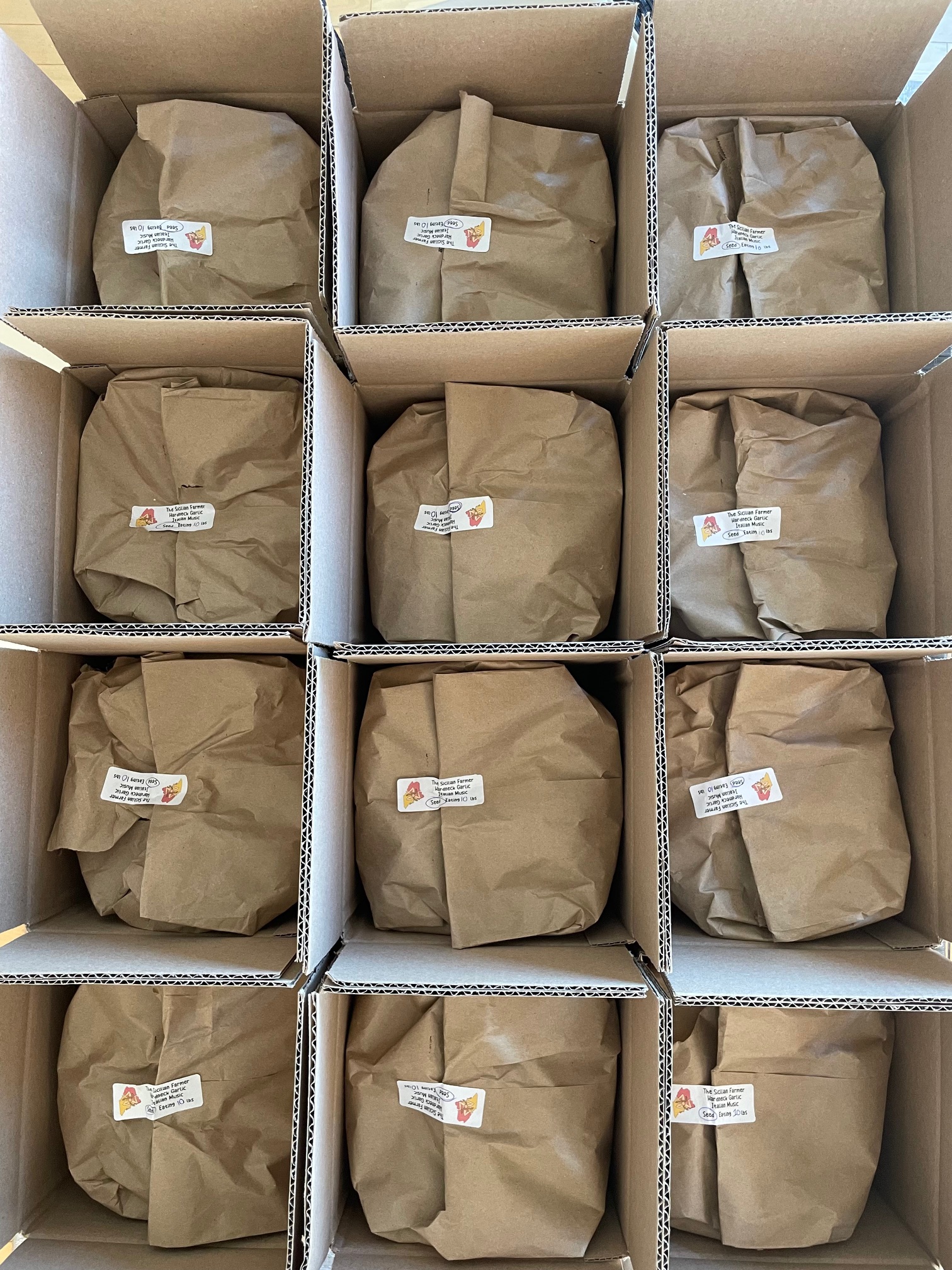 German Extra Hardy Table Garlic 1 LB PREORDER - Image 6